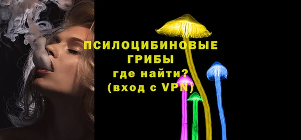 скорость Пересвет