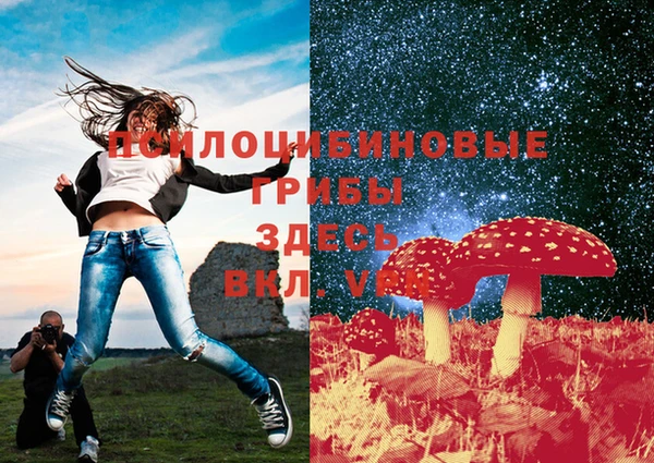 амф Абинск